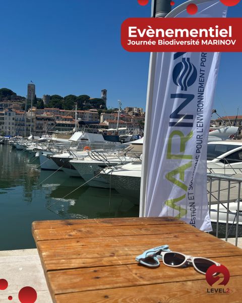 cannes-marinov-1